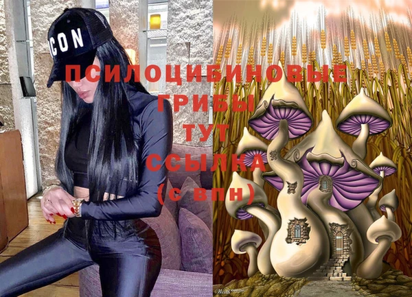 PSILOCYBIN Алексин