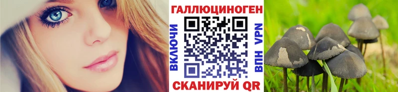 Галлюциногенные грибы прущие грибы  Арамиль 